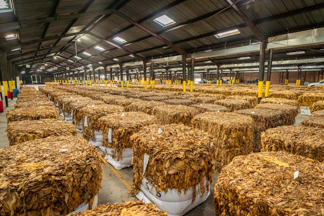 cara ekspor impor barang